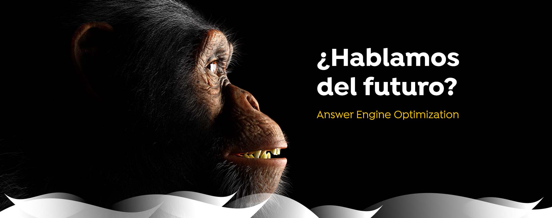 Servicios de Answer Engine Optimization